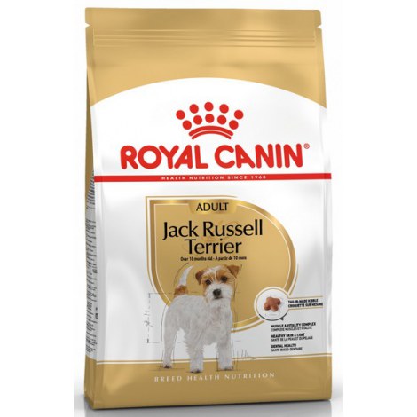 Royal Canin Jack Russell Terrier Adult karma sucha dla psów dorosłych rasy jack russell terrier 500g - 2
