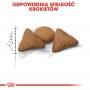 Royal Canin Indoor Apetite Control karma sucha dla kotów dorosłych, przebywających w domu, domagających się jedzenia 2kg - 6