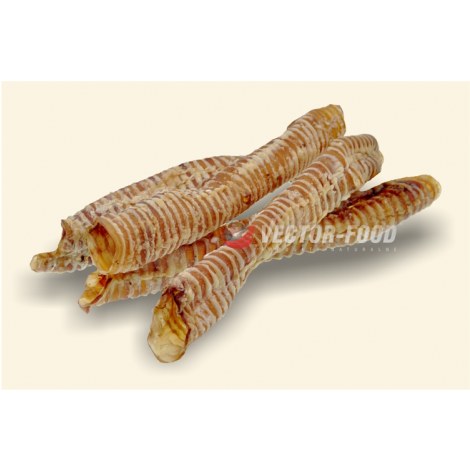 VECTOR-FOOD Tchawica wołowa cała 35cm [S35] 1szt