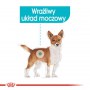 Royal Canin Urinary Care karma mokra dla psów dorosłych, wszystkich ras, wspierająca układ moczowy, pasztet saszetka 85g - 3