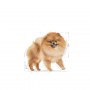 Royal Canin Pomeranian Adult karma mokra dla psów dorosłych rasy szpic miniaturowy, pasztet saszetka 85g - 6