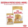 Royal Canin Pomeranian Adult karma mokra dla psów dorosłych rasy szpic miniaturowy, pasztet saszetka 85g - 5