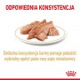 Royal Canin Pomeranian Adult karma mokra dla psów dorosłych rasy szpic miniaturowy, pasztet saszetka 85g - 4