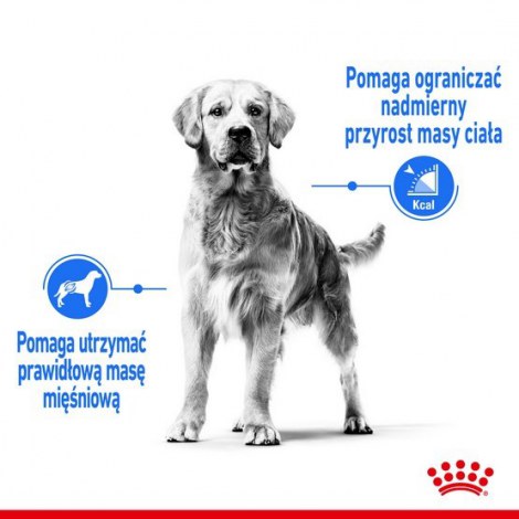 Royal Canin Maxi Light Weight Care karma sucha dla psów dorosłych, ras dużych z tendencją do nadwagi 3kg - 2