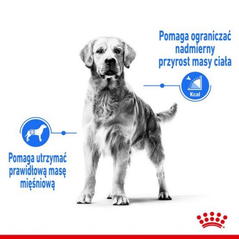 Royal Canin Medium Light Weight Care karma sucha dla psów dorosłych, ras średnich tendencją do nadwagi 12kg - 2