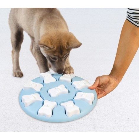 Nina Ottosson Puppy Smart Blue - gra edukacyjna [69535] - 5