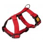 Dingo Szelki Guard dwupaskowe Scandi 2cm rozmiar S czerwone - 2