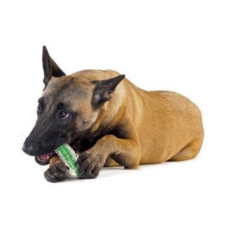 PETSTAGES CRUNCHCORE Small [PS264] - 2