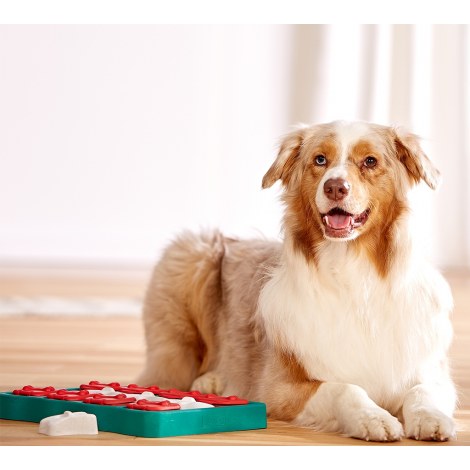 NINA OTTOSSON DOG BRICK Zabawka dla psa - 2