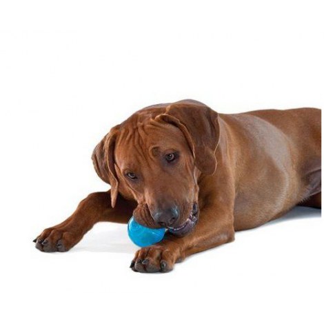 PETSTAGES Orka Ball - Piłka dla psa, niebiesko-mleczna [PS68499] - 2