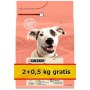 Purina Dog Chow Adult Sensitive Łosoś 2,5kg (2+0,5kg gratis) - 2