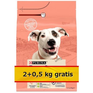 Purina Dog Chow Adult Sensitive Łosoś 2,5kg (2+0,5kg gratis)