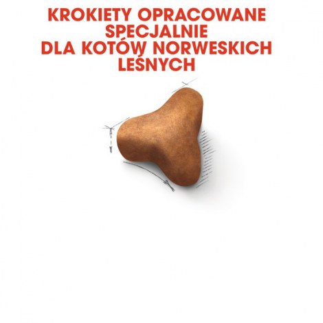 Royal Canin Norvegian Forest Cat Adult karma sucha dla kotów dorosłych rasy norweski leśny 10kg - 3