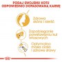 Royal Canin Norvegian Forest Cat Adult karma sucha dla kotów dorosłych rasy norweski leśny 10kg - 5