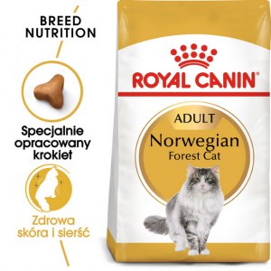 Royal Canin Norvegian Forest Cat Adult karma sucha dla kotów dorosłych rasy norweski leśny 10kg