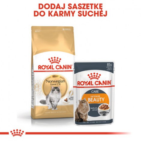 Royal Canin Norvegian Forest Cat Adult karma sucha dla kotów dorosłych rasy norweski leśny 2kg - 5