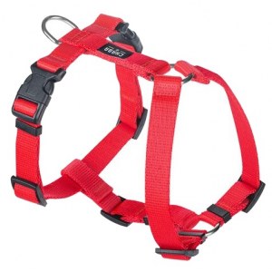 CHABA Szelki Guard L 2,5cm czerwone