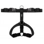 CHABA Szelki Guard M 2,0cm czarne - 3