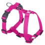 CHABA Szelki Guard M 2,0cm fuksja - 2