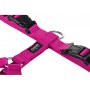 CHABA Szelki Guard M 2,0cm fuksja - 4