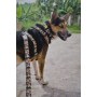 Dingo Obroża regulowana City - Chiapas 2,0cm/45cm - 4