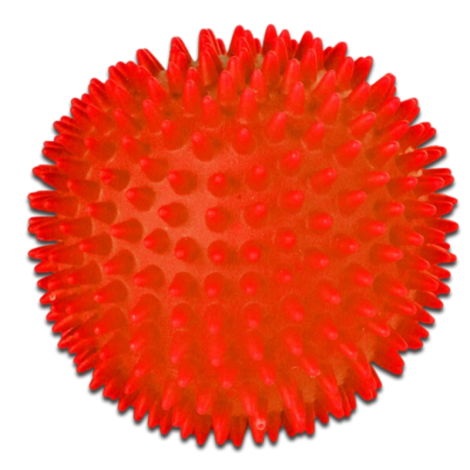 Piłka jeżowa piszcząca 10 cm - 2