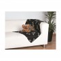 Koc dla psa, 100x70cm czarny w beżowe łapki - 2