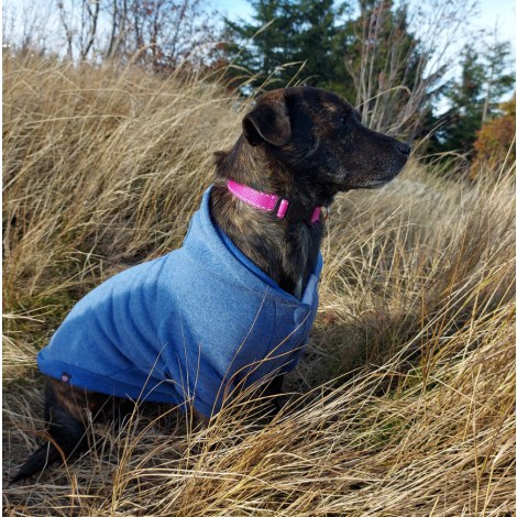 Ubranko dla psa BE NORDIC S: 36 cm, bluza z kapturem, niebieska - 2