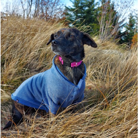 Ubranko dla psa BE NORDIC S: 36 cm, bluza z kapturem, niebieska - 3
