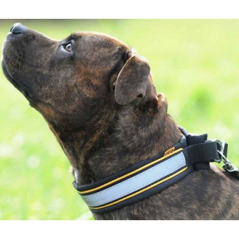 Dingo Obroża z odblaskiem regulowana i podszyta filcem 4,5x55-65cm - 2