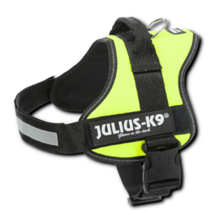 Julius-K9® Powerharness® szelki, dla psa, neonowa zieleń, 0/M–L: 58–76 cm/40 mm