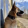 Dingo Obroża specjalna z taśmy 4,0x55-65cm czarna - 3