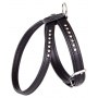 Dingo Szelki Glamour nr.1 (27-33cm) ósemki czarne - 2