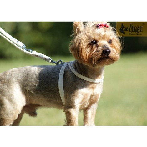 Dingo Szelki Glamour nr.1 (27-33cm) ósemki czerwone - 3