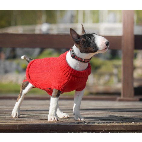 Zolux Sweter Legend 30cm czerwony [T30] - 3