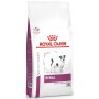 Royal Canin Veterinary Diet Canine Renal Small Dog 500g - 2