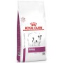 Royal Canin Veterinary Diet Canine Renal Small Dog 1,5kg - 2