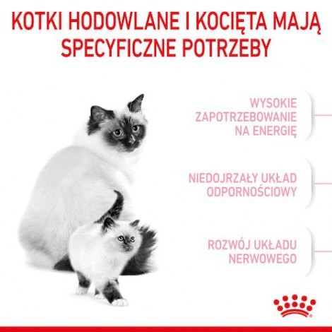 Royal Canin Mother&Babycat karma sucha dla kotek w okresie ciąży, laktacji i kociąt od 1 do 4 miesiąca 2kg - 2