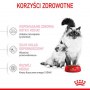 Royal Canin Mother&Babycat karma sucha dla kotek w okresie ciąży, laktacji i kociąt od 1 do 4 miesiąca 2kg - 4