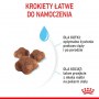 Royal Canin Mother&Babycat karma sucha dla kotek w okresie ciąży, laktacji i kociąt od 1 do 4 miesiąca 4kg - 5
