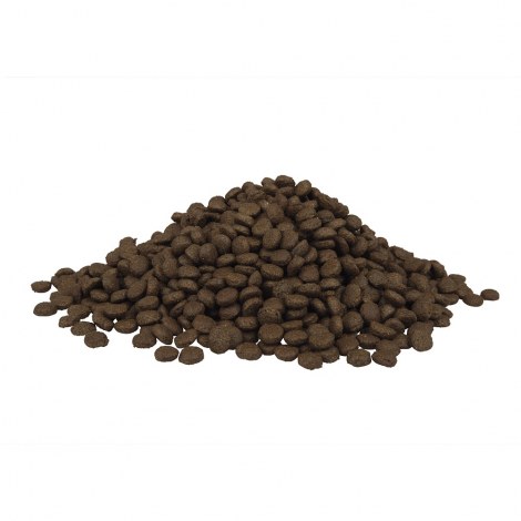 FITMIN cat For Life Kitten 8kg - 2