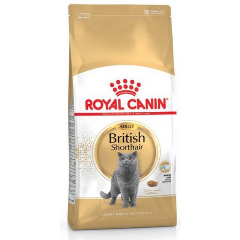 Royal Canin British Shorthair Adult karma sucha dla kotów dorosłych rasy brytyjski krótkowłosy 4kg - 2
