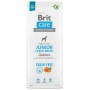 Brit Care Grain Free Junior Large Breed Salmon 12kg - 3