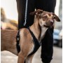 Dingo Szelki bezuciskowe z dwupaskową regulacją S czarne - 4