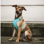 Dingo Szelki bezuciskowe z dwupaskową regulacją S miętowe - 5