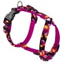 CHABA Szelki Guard Story S 1,6cm marigold - 2