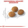 Royal Canin Exigent Aromatic Attraction karma sucha dla kotów dorosłych, wybrednych, kierujących się zapachem 400g - 6