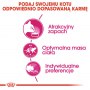 Royal Canin Exigent Aromatic Attraction karma sucha dla kotów dorosłych, wybrednych, kierujących się zapachem 400g - 5
