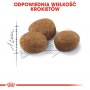 Royal Canin Sterilised 7+ karma sucha dla kotów dorosłych, od 7 do 12 roku życia, sterylizowanych 10kg - 7