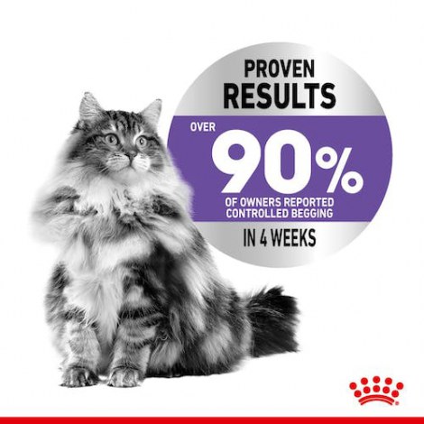 Royal Canin Appetite Control Care karma mokra w galaretce dla kotów dorosłych, domagających się jedzenia saszetka 85g - 3